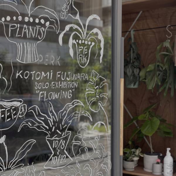 【都内】おしゃれな観葉植物が買えるお店！〜初心者向けから大型サイズまで〜 | HugMug