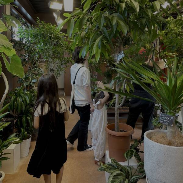 【都内】おしゃれな観葉植物が買えるお店！〜初心者向けから大型サイズまで〜 | HugMug