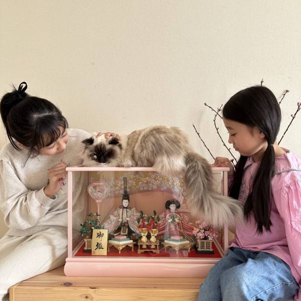 ひなまつりパーティーレシピの決定版！手毬寿司4種と桜香るミルクプリン | HugMug