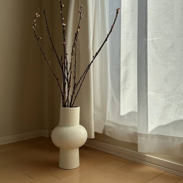 ひなまつりパーティーレシピの決定版！手毬寿司4種と桜香るミルクプリン | HugMug