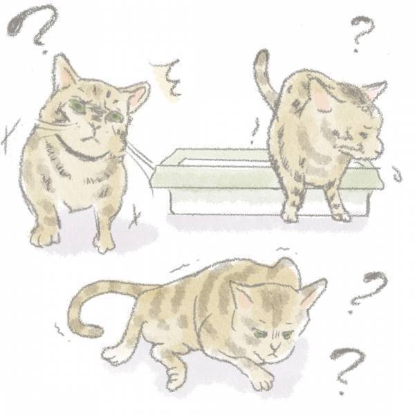 「ミロのゆううつ」ワンオペ育児ママ・mitoのうーたろうとネコのいる生活 Vol.37 | HugMug