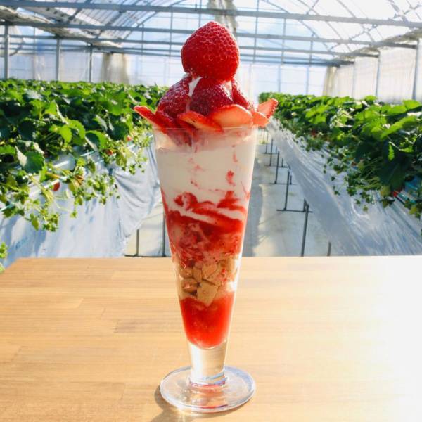 イチゴ狩りとスイーツを堪能！ カフェのあるイチゴ狩り農園6選【関東】 | HugMug