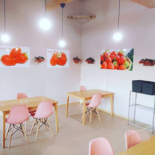 イチゴ狩りとスイーツを堪能！ カフェのあるイチゴ狩り農園6選【関東】 | HugMug