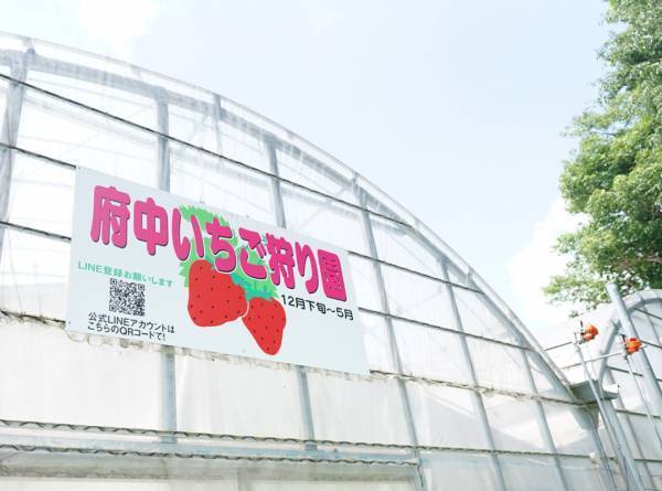 イチゴ狩りとスイーツを堪能！ カフェのあるイチゴ狩り農園6選【関東】 | HugMug