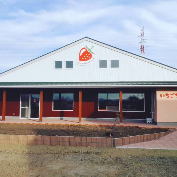 イチゴ狩りとスイーツを堪能！ カフェのあるイチゴ狩り農園6選【関東】 | HugMug