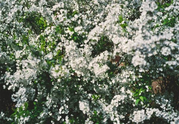 「無印良品で買ったあれこれ」Kanocoのしあわせ時間 Vol.19 | HugMug