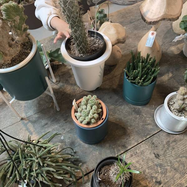 子供と様々な体験ができる！栃木のおしゃれ複合施設「吉田村VILLAGE」 | HugMug