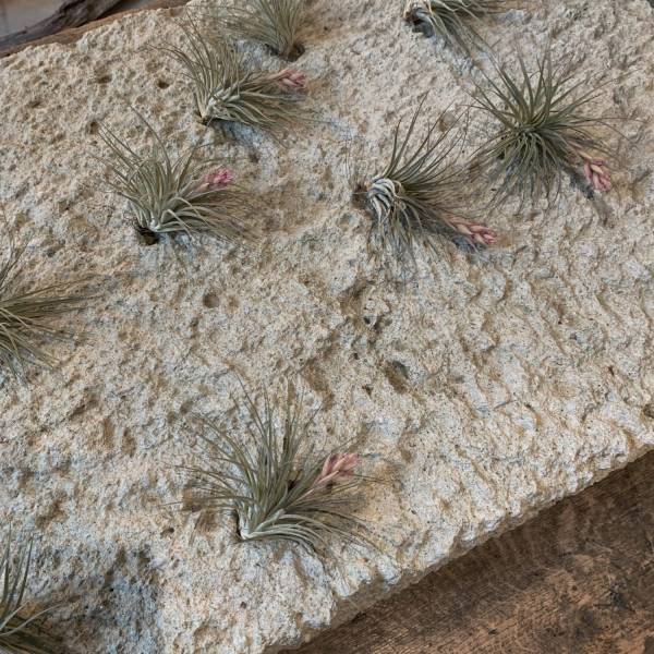 子供と様々な体験ができる！栃木のおしゃれ複合施設「吉田村VILLAGE」 | HugMug