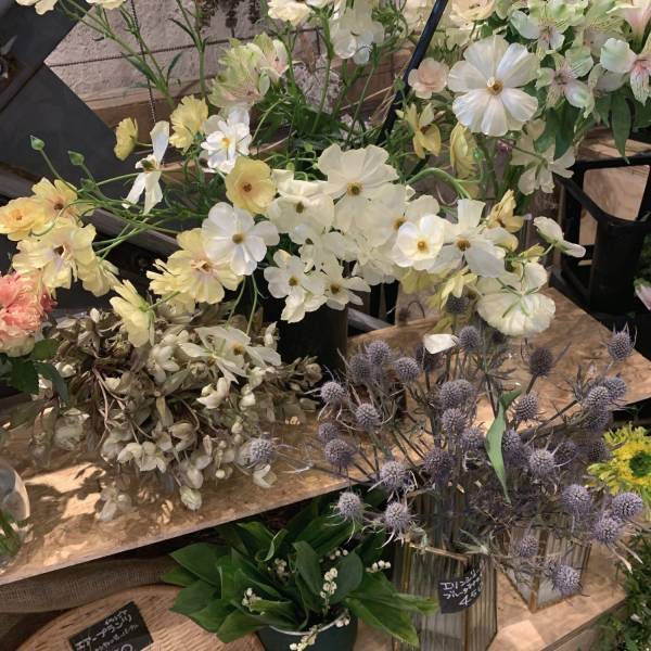 子供と様々な体験ができる！栃木のおしゃれ複合施設「吉田村VILLAGE」 | HugMug