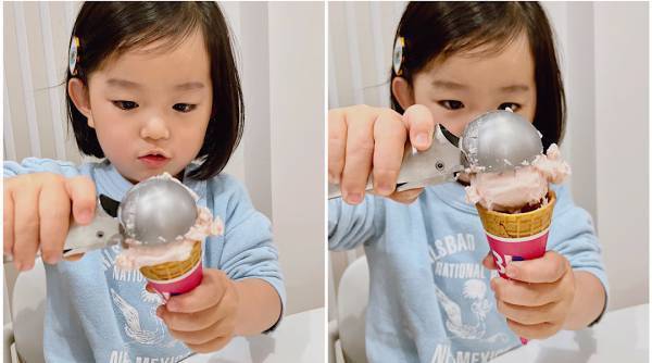 【31アイスのハピネスボックス】おうちで本格的なアイス屋さんごっこができる！ | HugMug