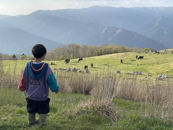 絶景！標高1400m四国カルストで山キャンプがおすすめなワケ | HugMug