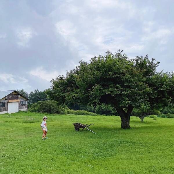 【八ヶ岳・清里】子連れ旅行！子どもが喜ぶおすすめ「穴場スポット」紹介 | HugMug - 親子で楽しむファッションやライフスタイル情報を届けるママメディア