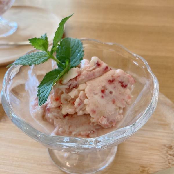 3COINSのアイスプレートで、子どもと簡単ひんやりスイーツ作り！ | HugMug - 親子で楽しむファッションやライフスタイル情報を届けるママメディア