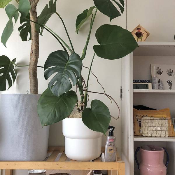 夏の必需品！コールマン×アース製薬のおしゃれな虫除けスプレーがおすすめ | HugMug - 親子で楽しむファッションやライフスタイル情報を届けるママメディア