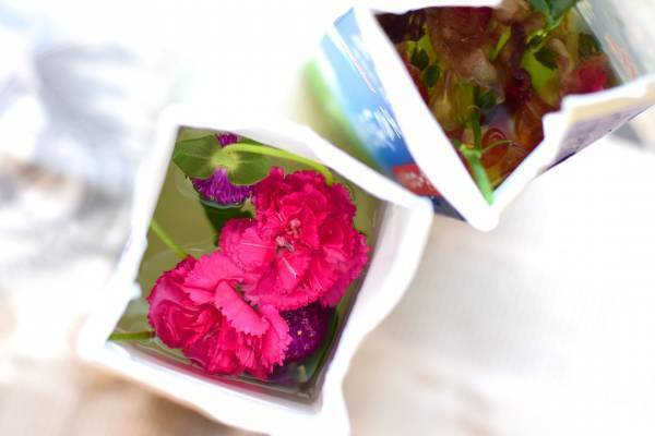 【氷を使ったひんやり工作3選】暑い夏に親子でつくってみよう！ | HugMug