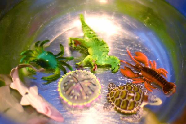 【氷を使ったひんやり工作3選】暑い夏に親子でつくってみよう！ | HugMug