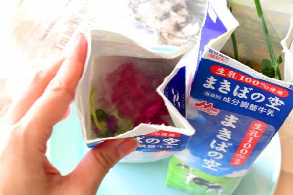 【氷を使ったひんやり工作3選】暑い夏に親子でつくってみよう！ | HugMug