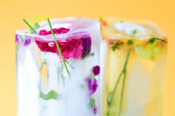 【氷を使ったひんやり工作3選】暑い夏に親子でつくってみよう！ | HugMug