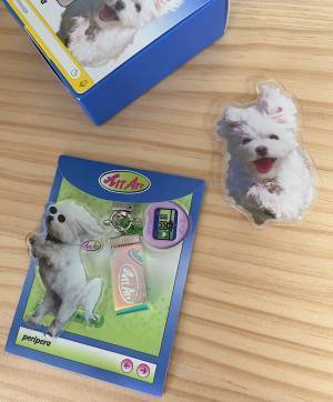 「Peripera×MalteseArchive」がとにかく可愛い！パケ買いしちゃうプチプラ韓国コスメ | HugMug - 親子で楽しむファッションやライフスタイル情報を届けるママメディア