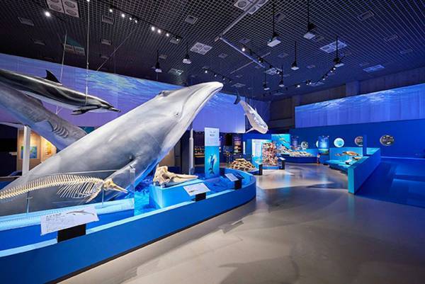 9月に行きたい遊び場＆イベント7選【関東】 | HugMug - 親子で楽しむファッションやライフスタイル情報を届けるママメディア