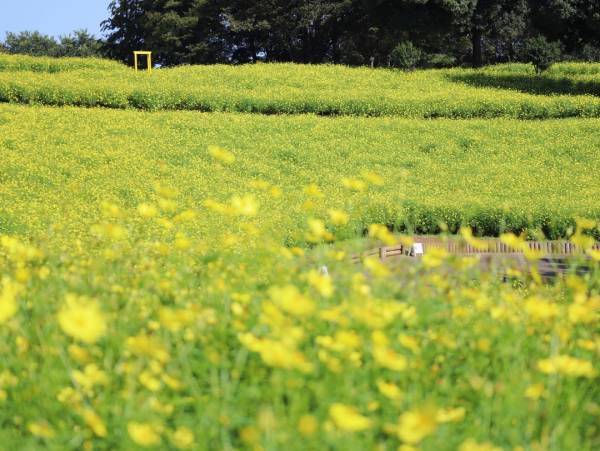 9月に行きたい遊び場＆イベント7選【関東】 | HugMug - 親子で楽しむファッションやライフスタイル情報を届けるママメディア