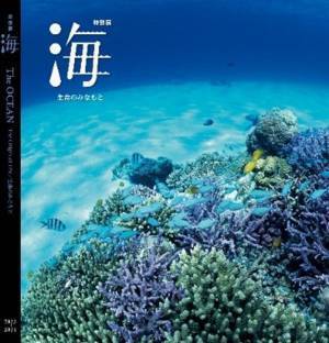 9月に行きたい遊び場＆イベント7選【関東】 | HugMug - 親子で楽しむファッションやライフスタイル情報を届けるママメディア