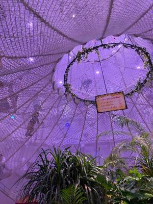 入場無料！？カフェあり＆5フロアの巨大室内遊び場「ギャラクシティ」が凄すぎる！ | HugMug