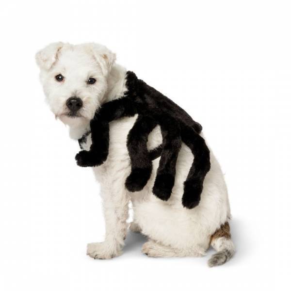 『フライング タイガー コペンハーゲン』人気ハロウィングッズ20選 | HugMug