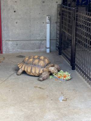【入園無料】ふれあい動物広場や遊具、水遊びなど1日中遊べる「東板橋公園」が子連れにおすすめ！ | HugMug