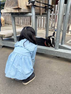 【入園無料】ふれあい動物広場や遊具、水遊びなど1日中遊べる「東板橋公園」が子連れにおすすめ！ | HugMug
