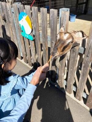 【入園無料】ふれあい動物広場や遊具、水遊びなど1日中遊べる「東板橋公園」が子連れにおすすめ！ | HugMug