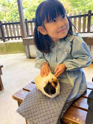 【入園無料】ふれあい動物広場や遊具、水遊びなど1日中遊べる「東板橋公園」が子連れにおすすめ！ | HugMug