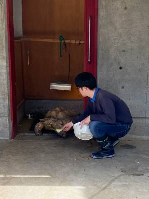 【入園無料】ふれあい動物広場や遊具、水遊びなど1日中遊べる「東板橋公園」が子連れにおすすめ！ | HugMug