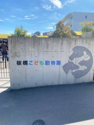 【入園無料】ふれあい動物広場や遊具、水遊びなど1日中遊べる「東板橋公園」が子連れにおすすめ！ | HugMug