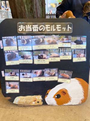 【入園無料】ふれあい動物広場や遊具、水遊びなど1日中遊べる「東板橋公園」が子連れにおすすめ！ | HugMug