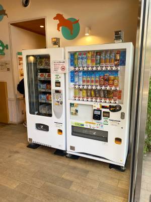 【入園無料】ふれあい動物広場や遊具、水遊びなど1日中遊べる「東板橋公園」が子連れにおすすめ！ | HugMug