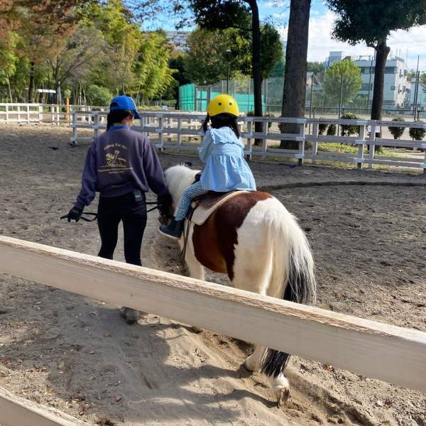 【入園無料】ふれあい動物広場や遊具、水遊びなど1日中遊べる「東板橋公園」が子連れにおすすめ！ | HugMug