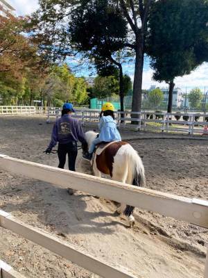 【入園無料】ふれあい動物広場や遊具、水遊びなど1日中遊べる「東板橋公園」が子連れにおすすめ！ | HugMug