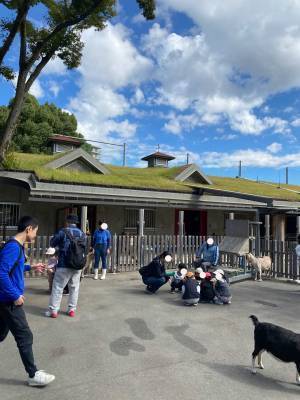【入園無料】ふれあい動物広場や遊具、水遊びなど1日中遊べる「東板橋公園」が子連れにおすすめ！ | HugMug