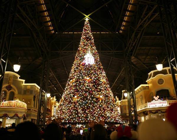 「はじめてのディズニーランドの楽しみ方」武智志穂の沖縄でのんびり双子育児 Vol.39 | HugMug