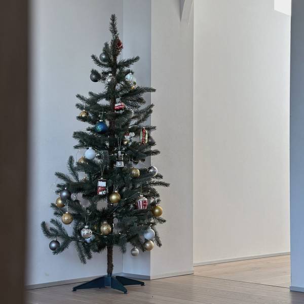 【ALL500円以下】クリスマスオーナメントは”フライングタイガー”一強！！ | HugMug