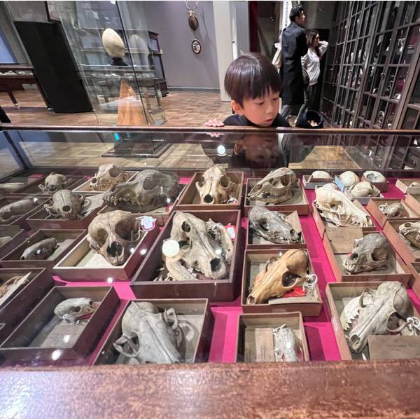 【入館無料】子連れお出かけに！東大の博物館“インターメディアテク”がおすすめ   | HugMug