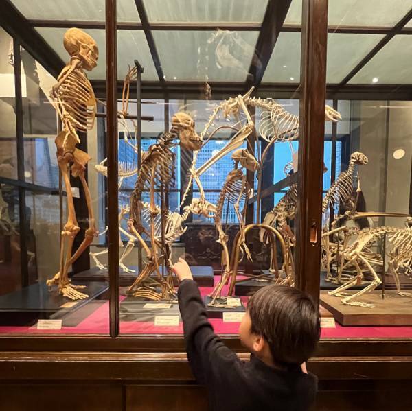 【入館無料】子連れお出かけに！東大の博物館“インターメディアテク”がおすすめ   | HugMug