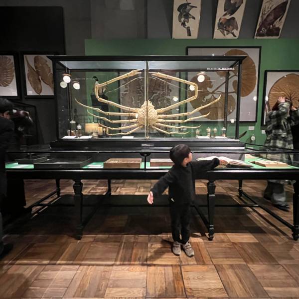 【入館無料】子連れお出かけに！東大の博物館“インターメディアテク”がおすすめ   | HugMug