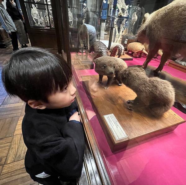 【入館無料】子連れお出かけに！東大の博物館“インターメディアテク”がおすすめ   | HugMug