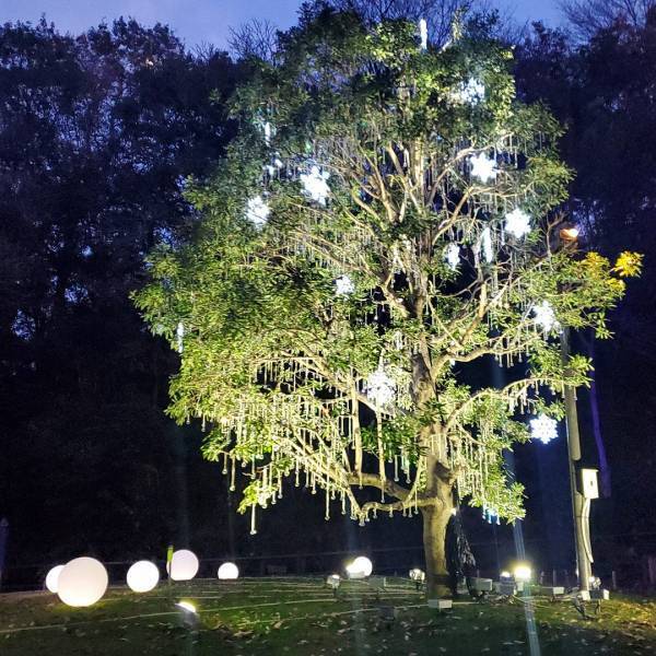 冬休みは子連れで藤子・F・不二雄ミュージアムへ行こう♪見どころ解説！ | HugMug