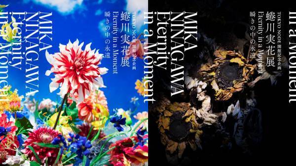 1月に行きたい遊び場＆イベント6選【関東】 | HugMug