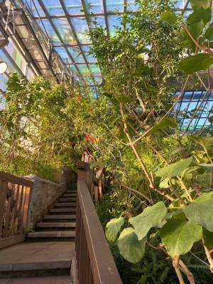 【未就学児無料】500種類の生き物を観察できる『足立区生物園』徹底レポ！ | HugMug