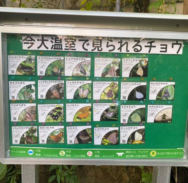 【未就学児無料】500種類の生き物を観察できる『足立区生物園』徹底レポ！ | HugMug