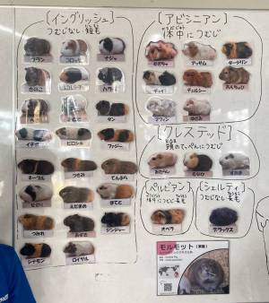 【未就学児無料】500種類の生き物を観察できる『足立区生物園』徹底レポ！ | HugMug